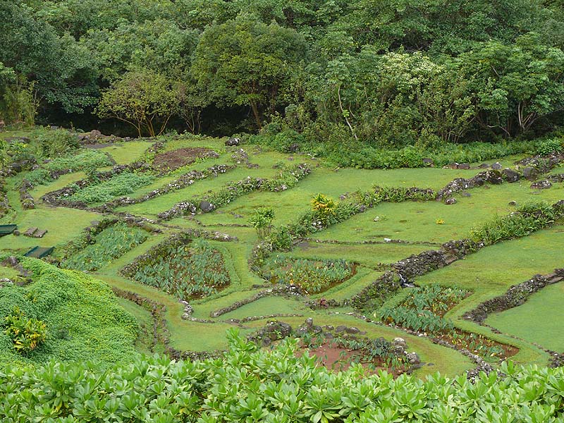 hawaii0047.JPG