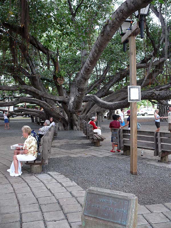 hawaii0053.JPG