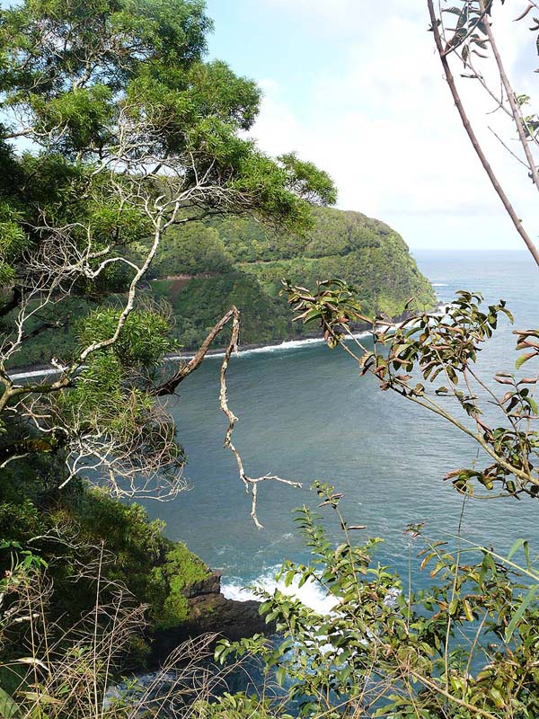 hawaii0066.JPG