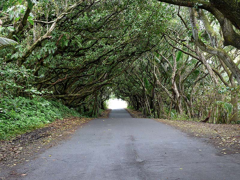 hawaii0092.JPG