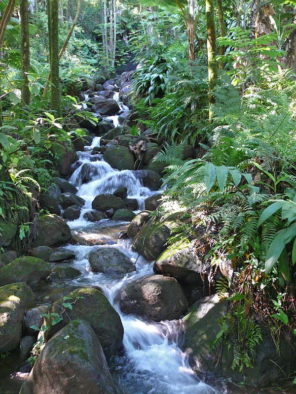 hawaii0099.JPG