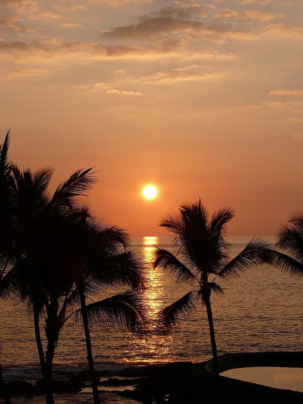 hawaii0111.JPG