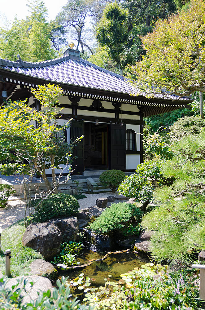jpn031.jpg