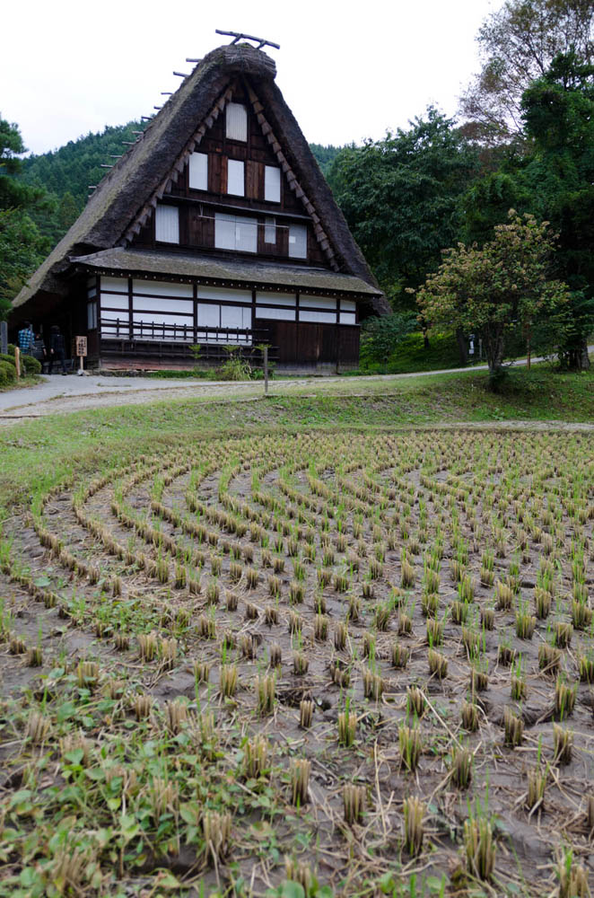 jpn057.jpg