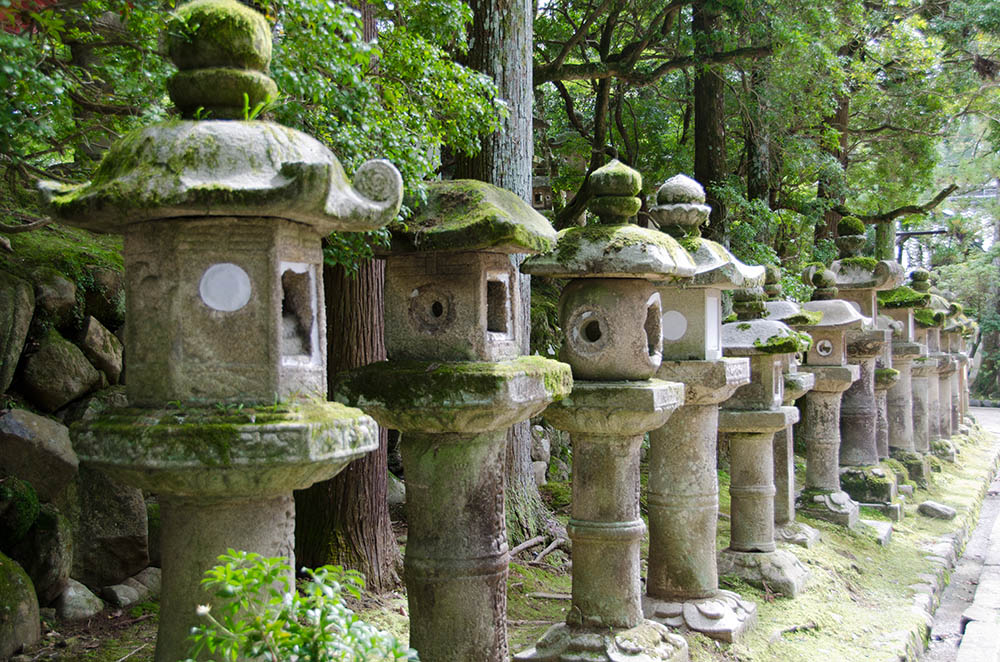 jpn097.jpg