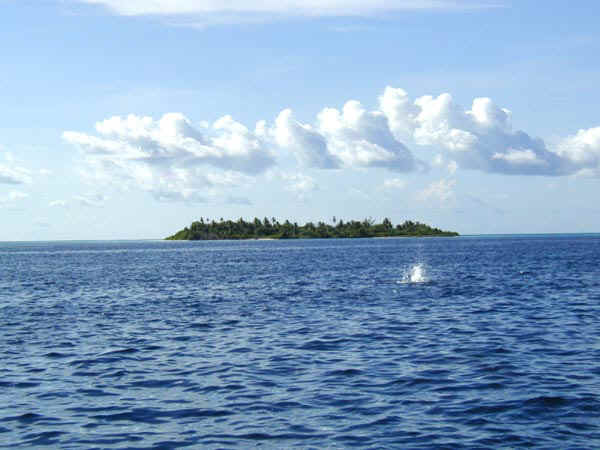 komando_boat_5.jpg