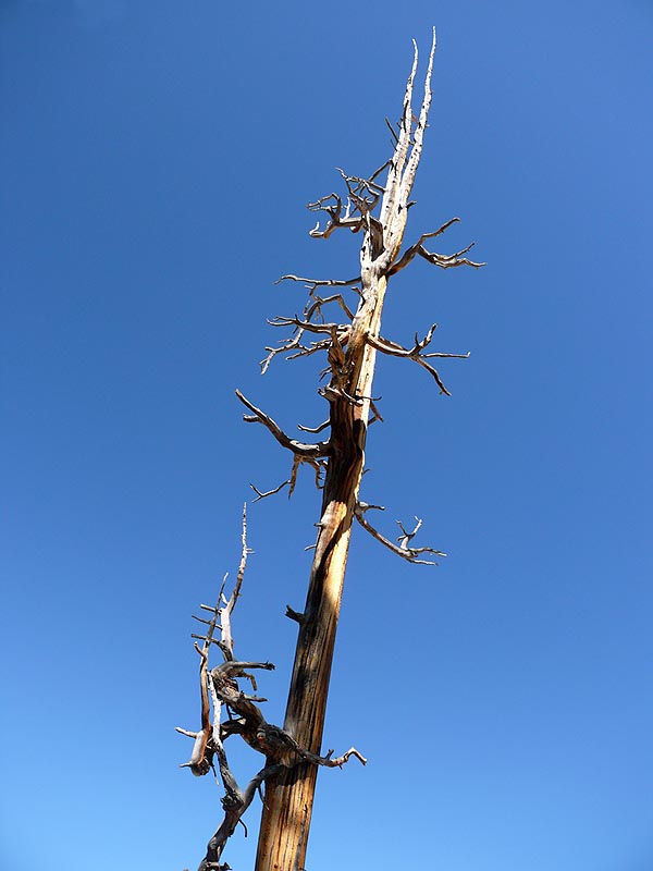 rockies096.JPG