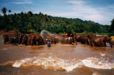 srilanka03.jpg