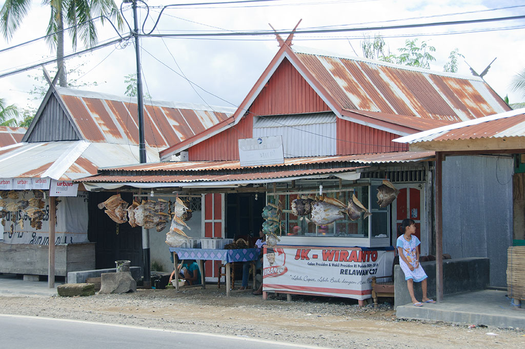 sula10011.jpg