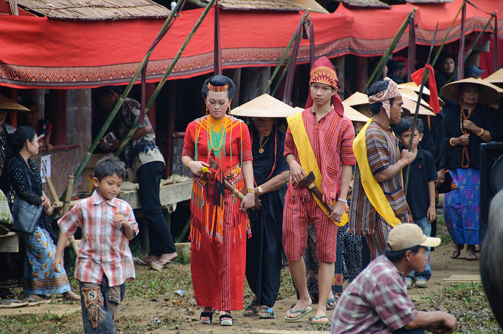 sula10026.jpg