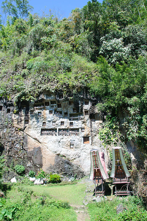 sula10043.jpg