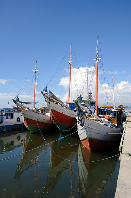 sula10066.jpg