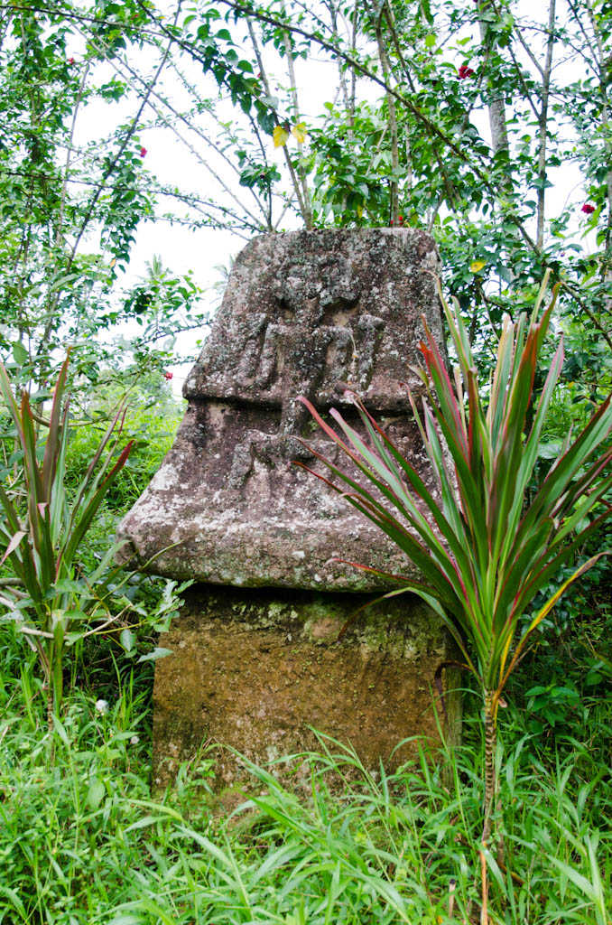 sula2011_012.jpg