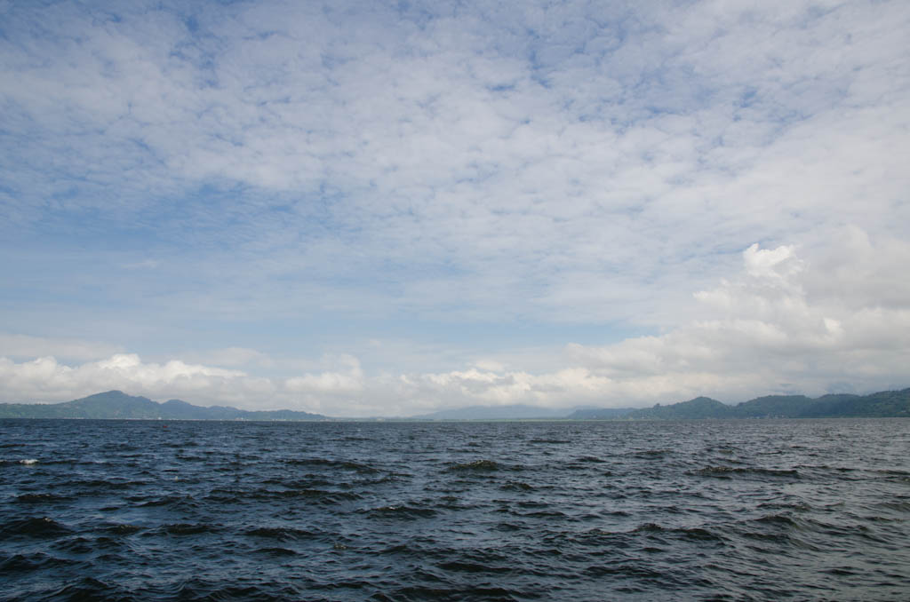 sula2011_014.jpg