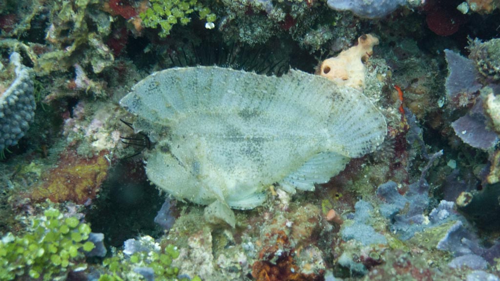 sula2011_fi02.jpg