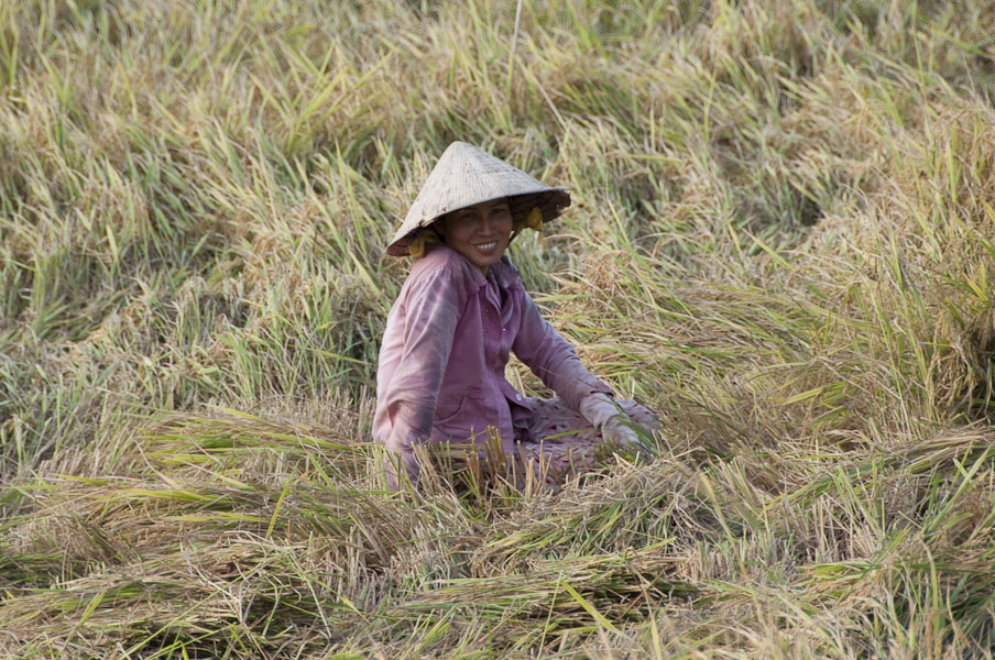 vietnam090.jpg