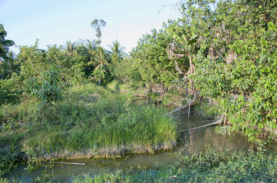 vietnam091.jpg
