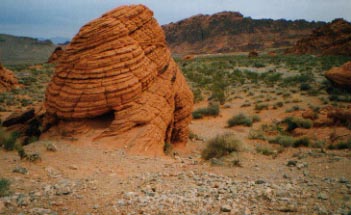 wildwest11.jpg