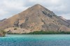 die Insel Rinca