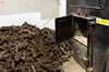 Damit sich dann kein Spross entwickelt wird die Gerste gedärrt, auf den Inseln meistens über dom Torffeuer